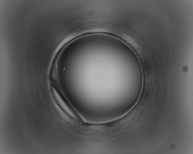 X0000097761181200803071248