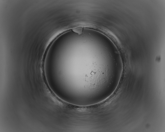 X0000097761182200803071248