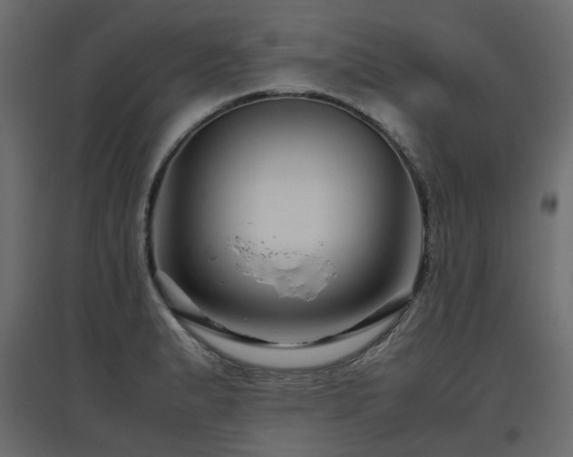 X0000097761183200803071248