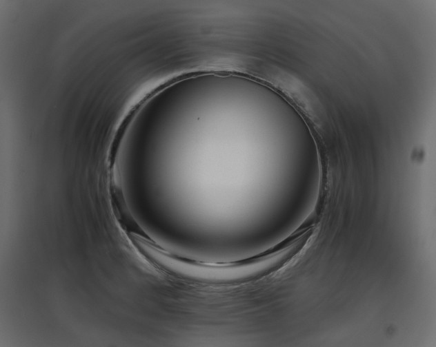 X0000097761184200803071248