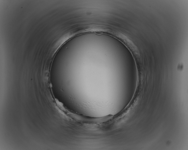 X0000097761185200803071248