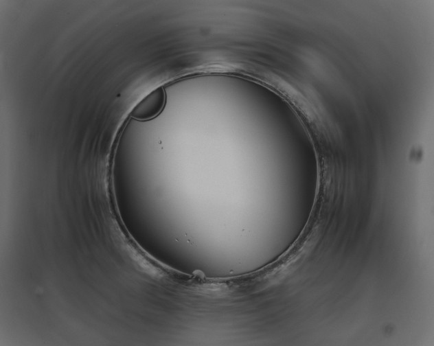 X0000097761186200803071248