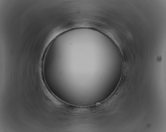 X0000097761187200803071248