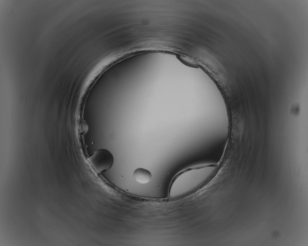 X0000097761188200803071248