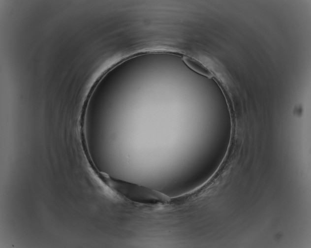 X0000097761189200803071248
