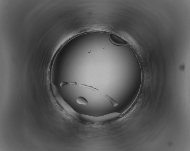 X0000097761190200803071248