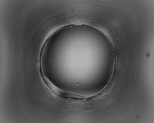 X0000097761191200803071248