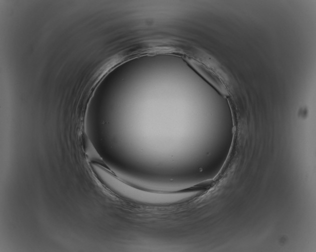 X0000097761193200803071248