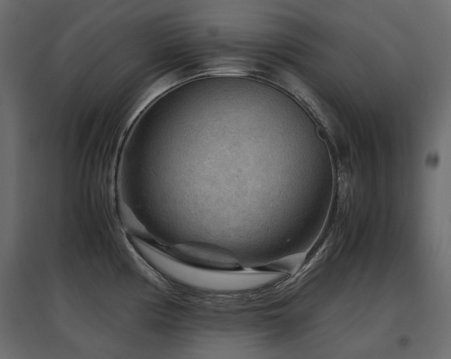 X0000097761194200803071248