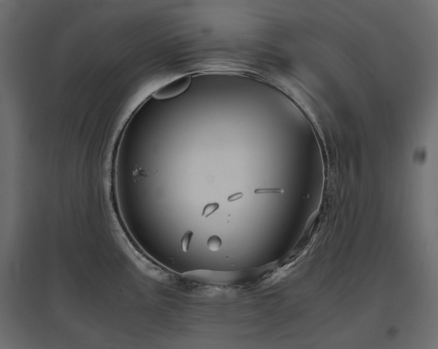 X0000097761195200803071248
