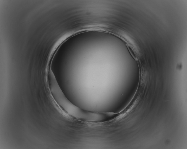X0000097761196200803071248