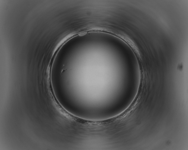 X0000097761198200803071248