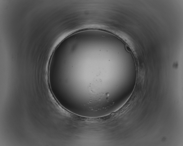 X0000097761199200803071248