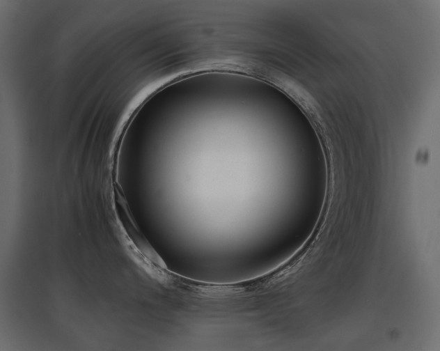X0000097761200200803071248