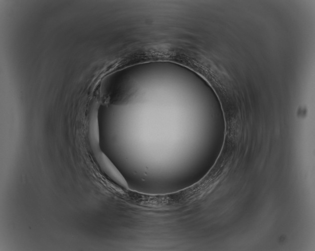 X0000097761201200803071247