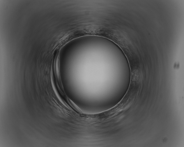 X0000097761202200803071247