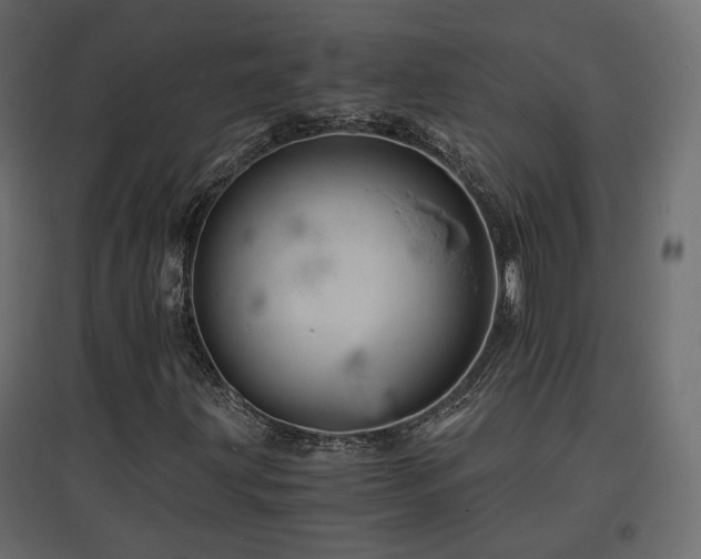 X0000097761203200803071247