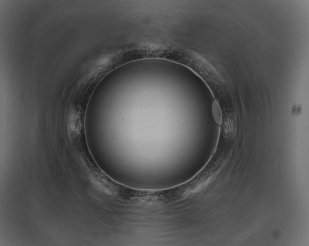 X0000097761204200803071247