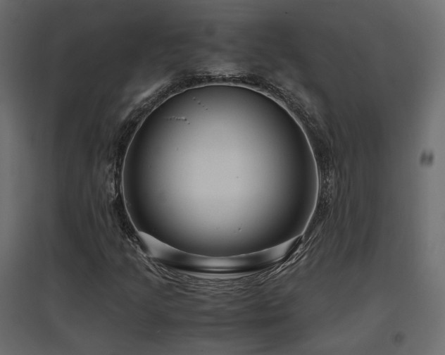 X0000097761205200803071247