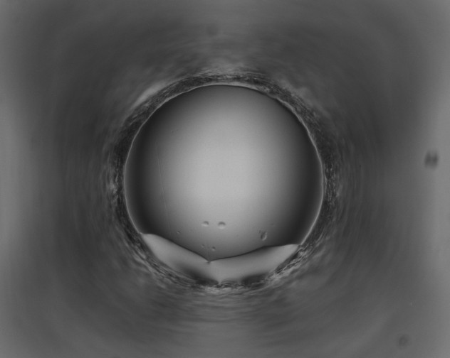 X0000097761206200803071247