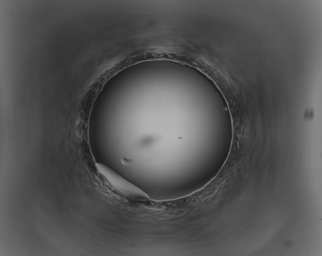 X0000097761207200803071247