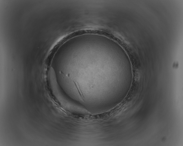 X0000097761208200803071247