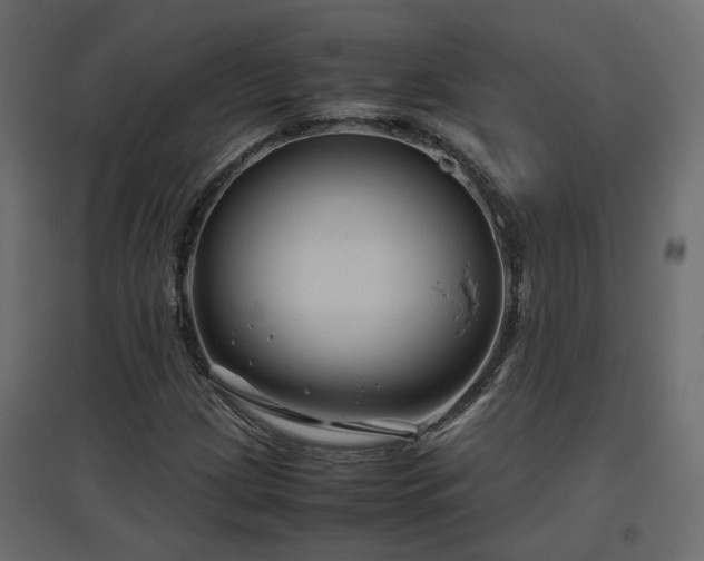 X0000097761209200803071247