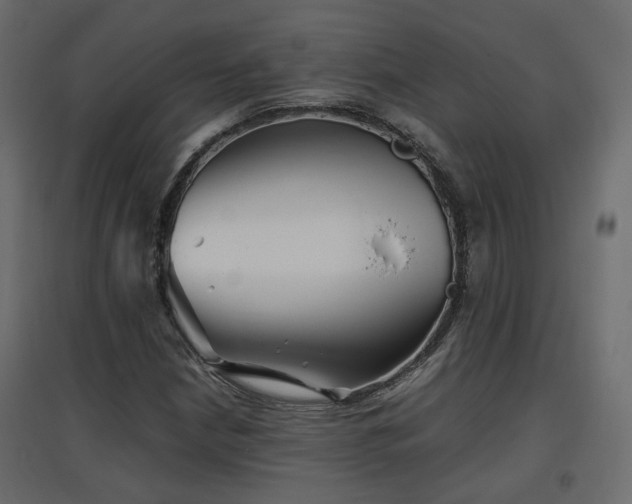 X0000097761210200803071247