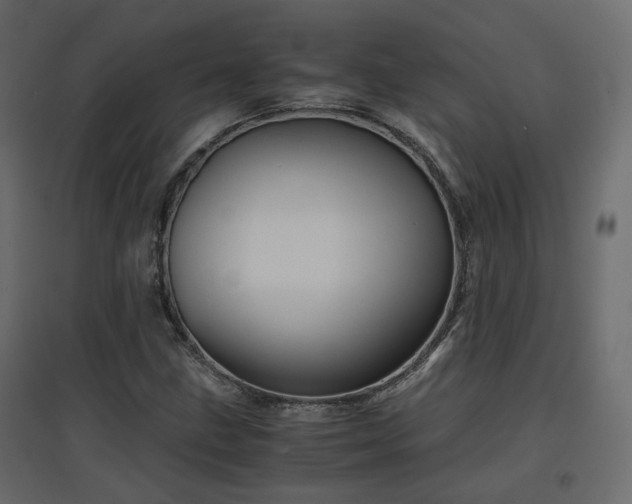 X0000097761211200803071247