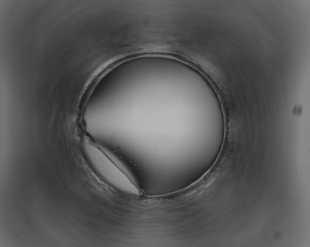 X0000097761212200803071247