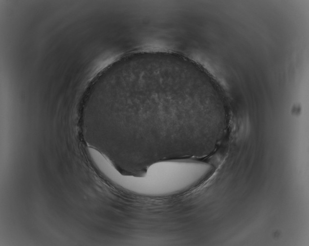 X0000097761213200803071247