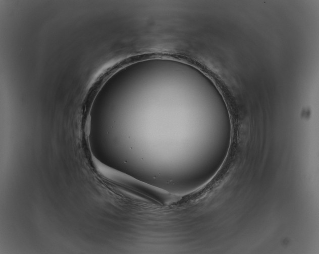 X0000097761214200803071247