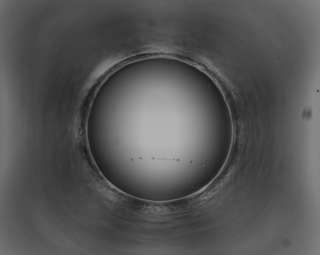 X0000097761215200803071247