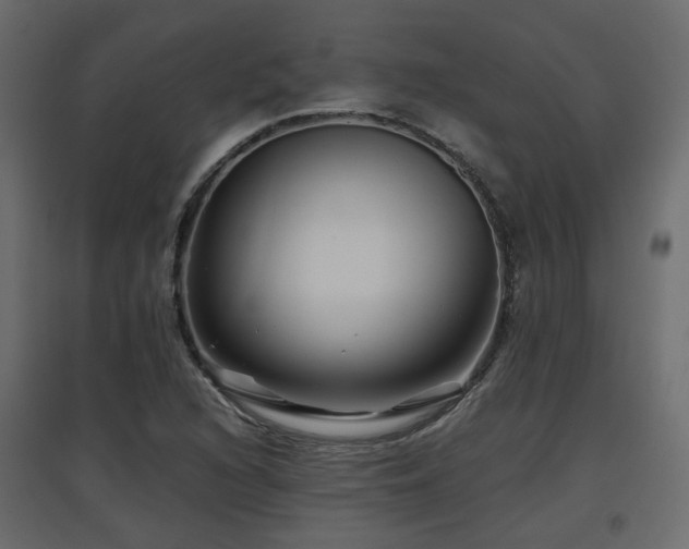 X0000097761216200803071247