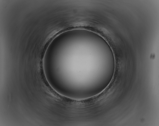 X0000097761217200803071247