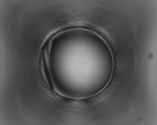 X0000097761218200803071247