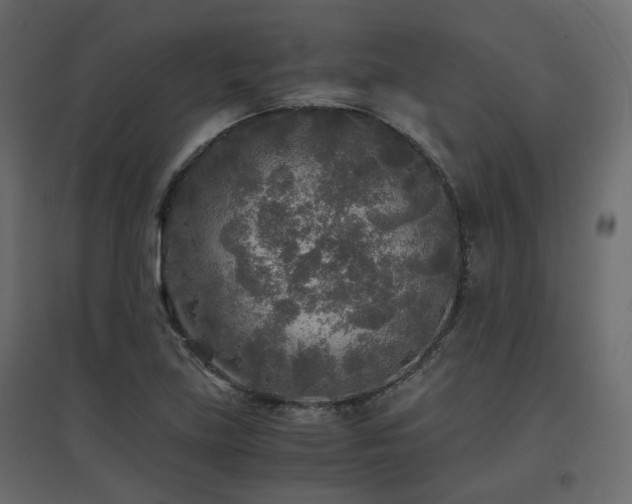 X0000097761219200803071247
