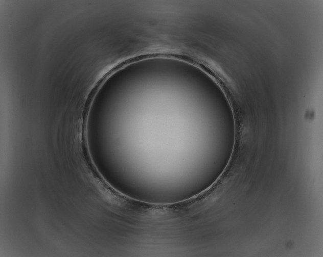 X0000097761220200803071247