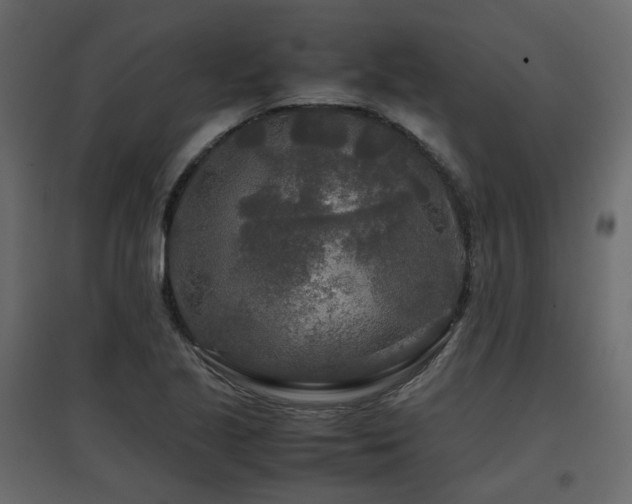 X0000097761221200803071247