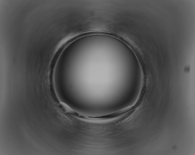 X0000097761222200803071247