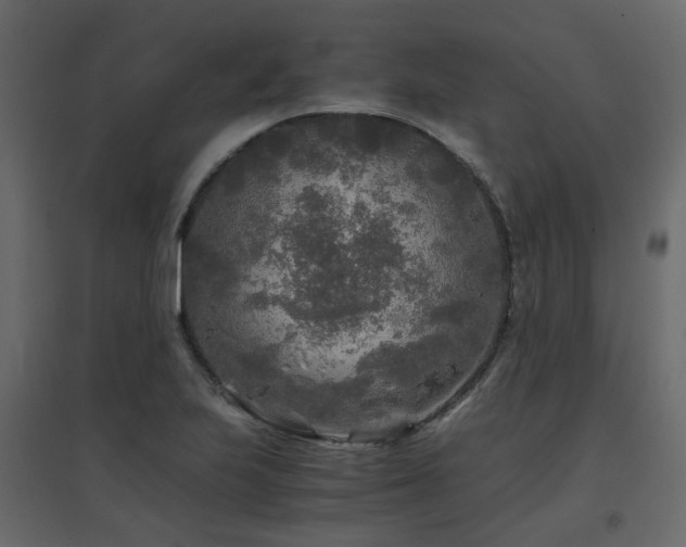 X0000097761223200803071247