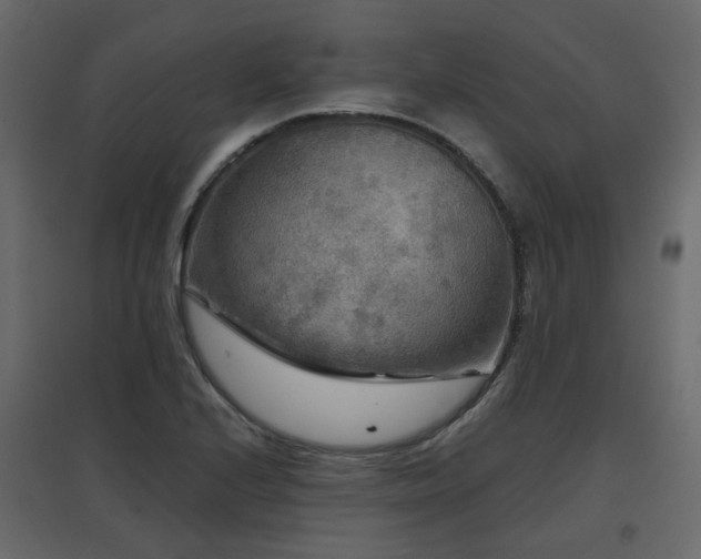 X0000097761224200803071247