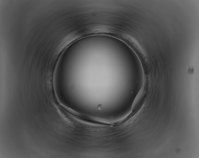 X0000097761225200803071247