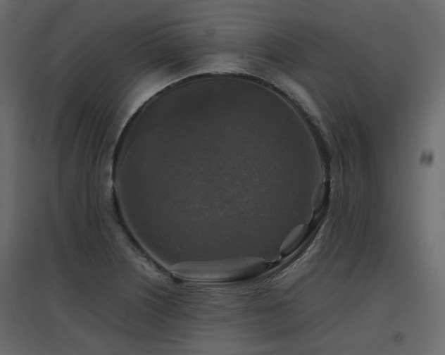 X0000097761226200803071247