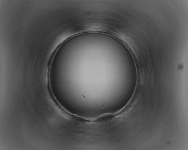 X0000097761227200803071247