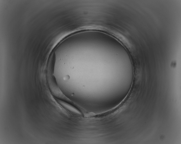 X0000097761228200803071247