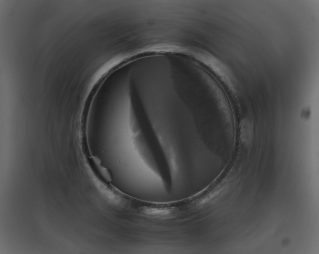 X0000097761229200803071247