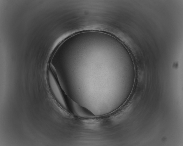 X0000097761230200803071247
