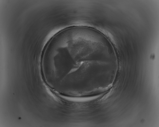 X0000097761231200803071247