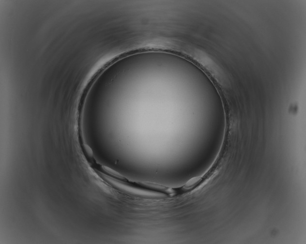 X0000097761232200803071247